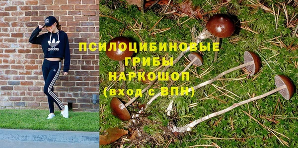 бутират Алзамай