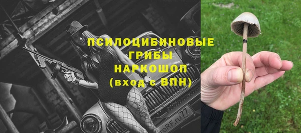 гидропоника Абдулино