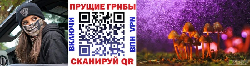 Псилоцибиновые грибы Magic Shrooms  Углегорск 